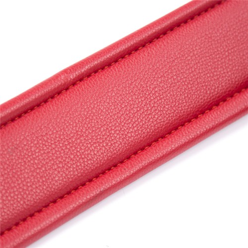 Черно-красный ошейник с поводком на золотой цепи Черно-красный ошейник с поводком на золотой цепи