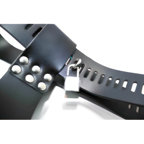 Женский пояс верности с двумя вибропробками Женский пояс верности с двумя вибропробками