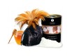 Съедобная пудра для тела Shunga Honey of the Nypmphs с ароматом меда 228 гр