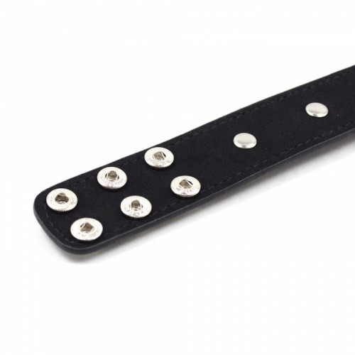 Изящный ошейник с шипами