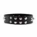 Изящный ошейник с шипами