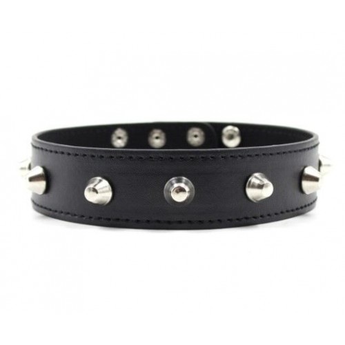 Изящный ошейник с шипами