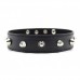 Изящный ошейник с шипами