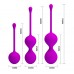 Набор вагинальных шариков со смещенным центром тяжести Pretty Love Набор вагинальных шариков со смещенным центром тяжести Pretty Love