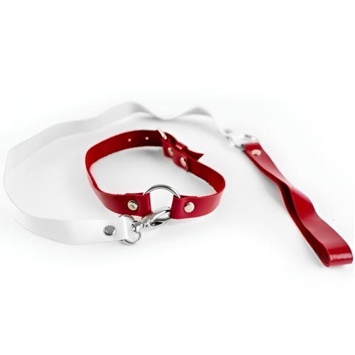 Элегантный чокер с поводком из натуральной кожи бело-красного цвета Элегантный чокер с поводком из натуральной кожи бело-красного цвета