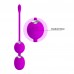Вагинальные шарики с вибрацией Pretty Love Werner