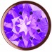Анальная пробка Diamond Amethyst Shine S розовое золото Анальная пробка Diamond Amethyst Shine S розовое золото
