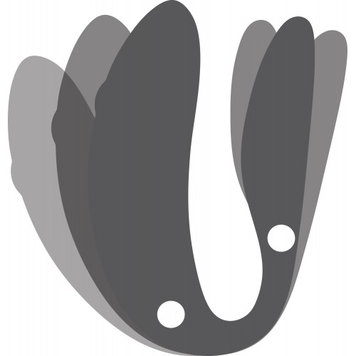 Набор стимуляторов для пар Golden Moments 2 Womanizer Premium 2 + We-Vibe Chorus Набор стимуляторов для пар Golden Moments 2 Womanizer Premium 2 + We-Vibe Chorus